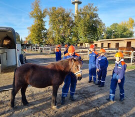 Luca hält Pony Tony hinter dem Anhänger fest, beruhigt ihn und alle dürfen ihn einmal streicheln