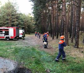 Berufsfeuerwehrtag - Einsatz: vermisste Person im Wald