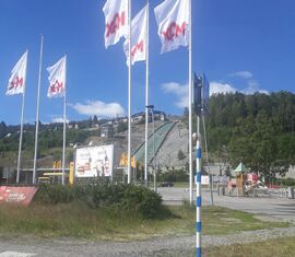 Es grüßt die Jugendfeuerwehr Welzow aus Finnland