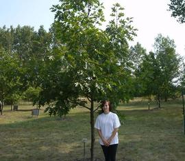 Maria Trampenau durfte Baum Nummer 17 im Jahr 2002 pflanzen.