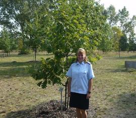 Stefanie Krause an ihrem Baum Nummer 19, sie kümmert sich jedes Jahr um ihren Baum.