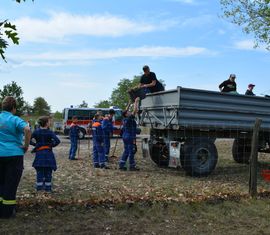 Verladung des Laubes auf dem Anhänger der Agrargenossenschaft Forst (Lausitz)