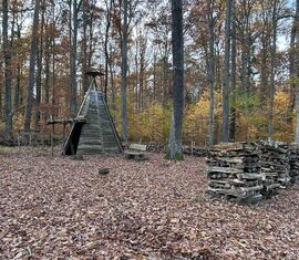 Anschauungsgegenstände an der Waldschule Kleinsee