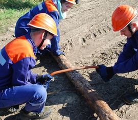 William und Willi beseitigen den Baum